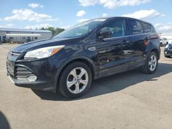 Salvage cars for sale at Pennsburg, PA auction: 2013 Ford Escape SE