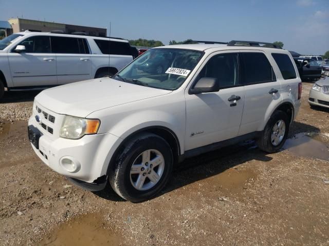 2010 Ford Escape Hybrid