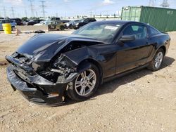 Salvage cars for sale at Elgin, IL auction: 2013 Ford Mustang