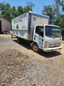 Salvage trucks for sale at New Orleans, LA auction: 2007 Isuzu NPR