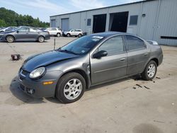 Dodge Vehiculos salvage en venta: 2005 Dodge Neon SXT