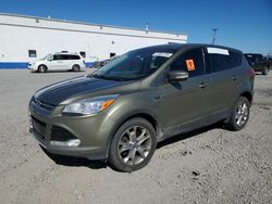 Ford salvage cars for sale: 2013 Ford Escape SEL