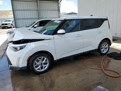 Salvage cars for sale at Albuquerque, NM auction: 2023 KIA Soul LX
