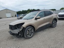 Ford Vehiculos salvage en venta: 2020 Ford Escape SEL