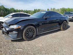 Salvage cars for sale from Copart Ontario Auction, ON: 2021 Ford Mustang GT