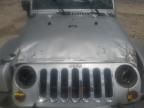 2010 Jeep Wrangler Sahara