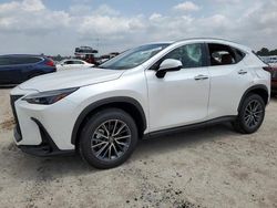 Lexus salvage cars for sale: 2024 Lexus NX 350H Base