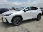 2024 Lexus NX 350H Base