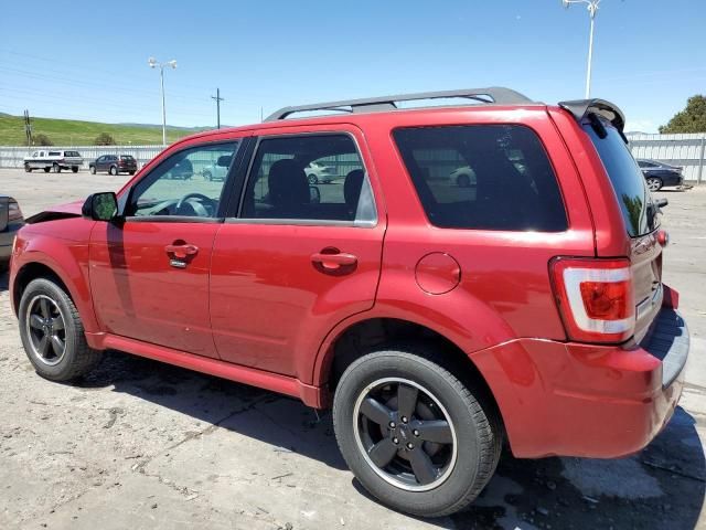 2010 Ford Escape XLT