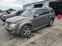 Salvage cars for sale at Chambersburg, PA auction: 2009 Ford Escape Limited