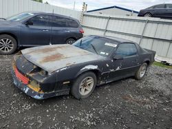 Salvage cars for sale at Albany, NY auction: 1982 Chevrolet Camaro