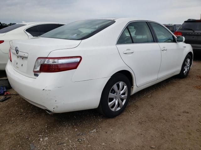 2007 Toyota Camry Hybrid