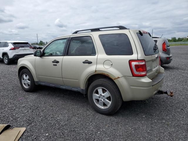 2012 Ford Escape XLT