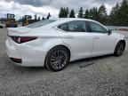 2024 Lexus ES 300H Base