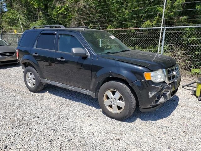 2012 Ford Escape XLT