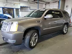 Cadillac Vehiculos salvage en venta: 2012 Cadillac Escalade Platinum