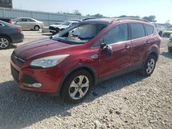 Salvage cars for sale at Kansas City, KS auction: 2013 Ford Escape SE