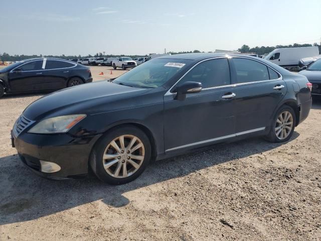 2010 Lexus ES 350