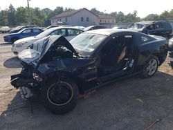 Salvage cars for sale at auction: 2012 Ford Mustang