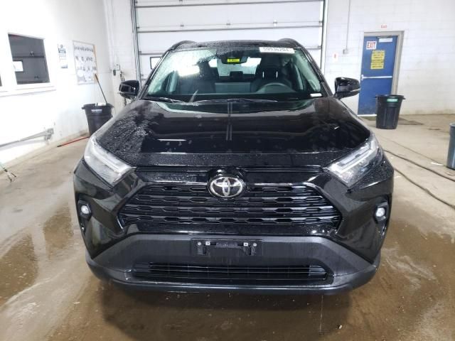 2023 Toyota Rav4 XLE Premium