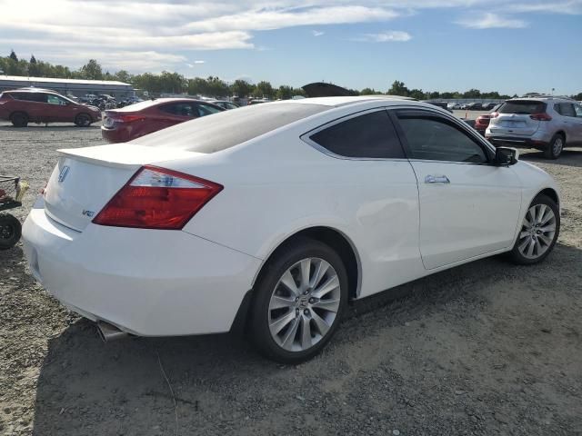 2010 Honda Accord EXL