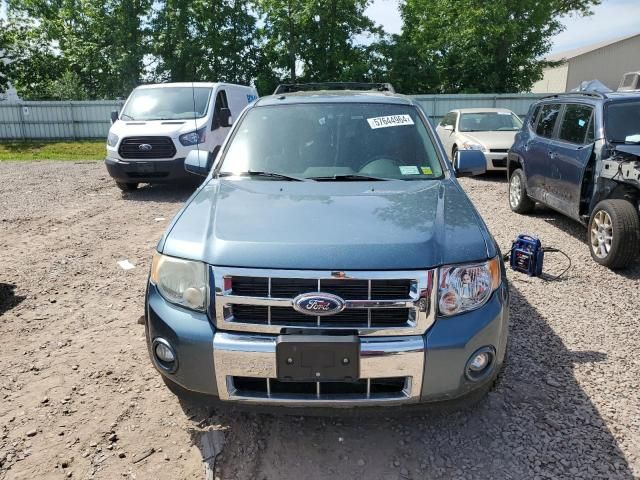 2011 Ford Escape Limited