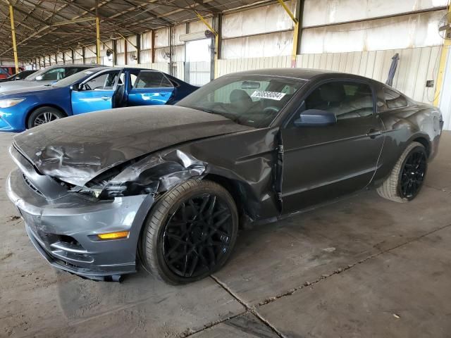 2013 Ford Mustang