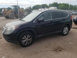 Honda cr-v exl Vehiculos salvage en venta: 2013 Honda CR-V EXL