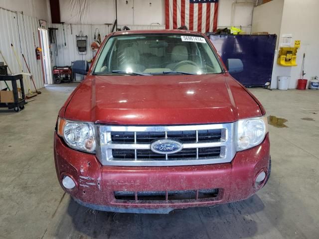 2008 Ford Escape XLT