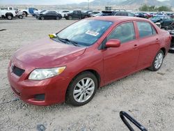 Salvage cars for sale at Magna, UT auction: 2010 Toyota Corolla Base