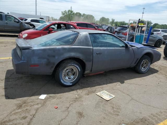 1982 Pontiac Firebird Trans AM