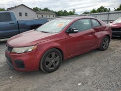 KIA Forte ex Vehiculos salvage en venta: 2010 KIA Forte EX