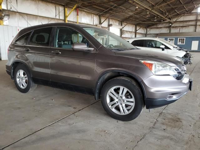 2010 Honda CR-V EXL