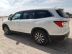 2019 Honda Pilot EXL