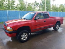 Salvage cars for sale at Moncton, NB auction: 2000 Dodge Dakota