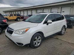 Salvage cars for sale at Louisville, KY auction: 2014 Subaru Forester 2.5I Limited