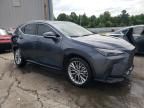 2023 Lexus NX 350