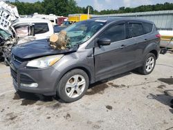 Salvage cars for sale at Sikeston, MO auction: 2013 Ford Escape SE