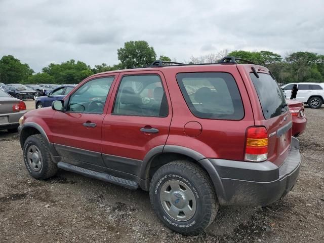 2007 Ford Escape XLS