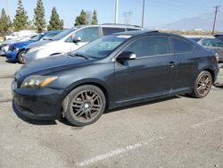 Salvage cars for sale at Rancho Cucamonga, CA auction: 2008 Scion TC