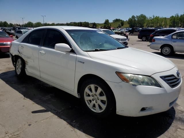 2009 Toyota Camry Hybrid