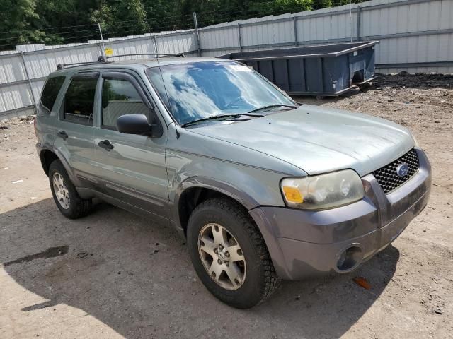 2005 Ford Escape XLT