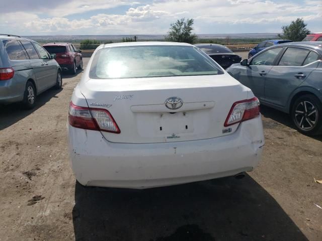 2009 Toyota Camry Hybrid