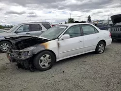 Salvage cars for sale at Eugene, OR auction: 1999 Honda Accord EX