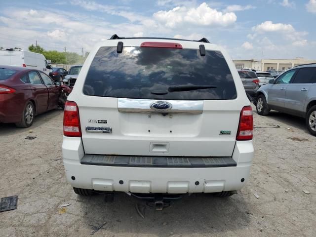 2011 Ford Escape Limited