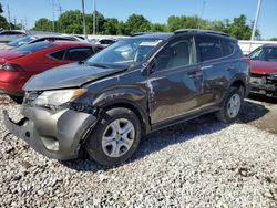 Salvage cars for sale at Columbus, OH auction: 2013 Toyota Rav4 LE