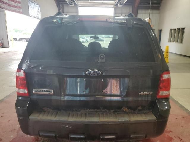 2008 Ford Escape XLT