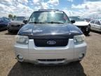 2007 Ford Escape XLT