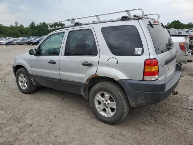 2003 Ford Escape XLT