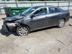 Toyota salvage cars for sale: 2010 Toyota Corolla Base